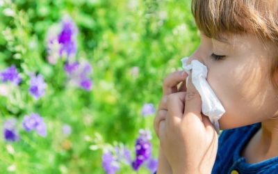 Alergija kod dece – zašto se javlja i kako reagovati?