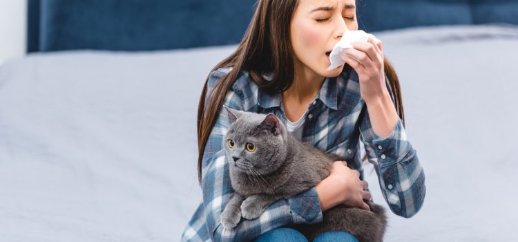 Alergija na mačke – kako živeti sa njom?